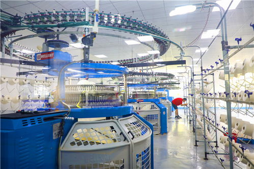 威海智造再提速 36家市級(jí)智能工廠獲認(rèn)定，智能水務(wù)系統(tǒng)開(kāi)發(fā)引領(lǐng)產(chǎn)業(yè)升級(jí)