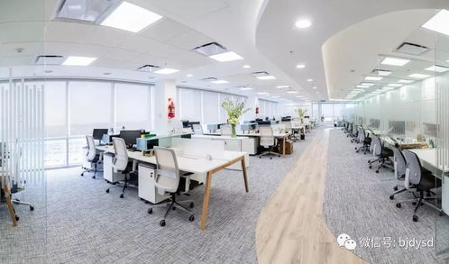 打破傳統(tǒng)刻板嚴(yán)肅印象,辦公場(chǎng)所也要小清新